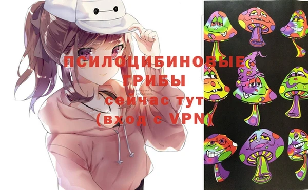 соль курить ск Богородск